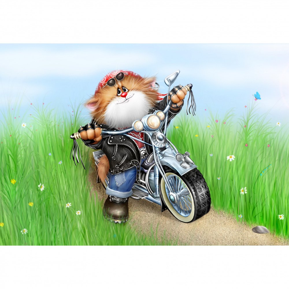 Кот на мотоцикле