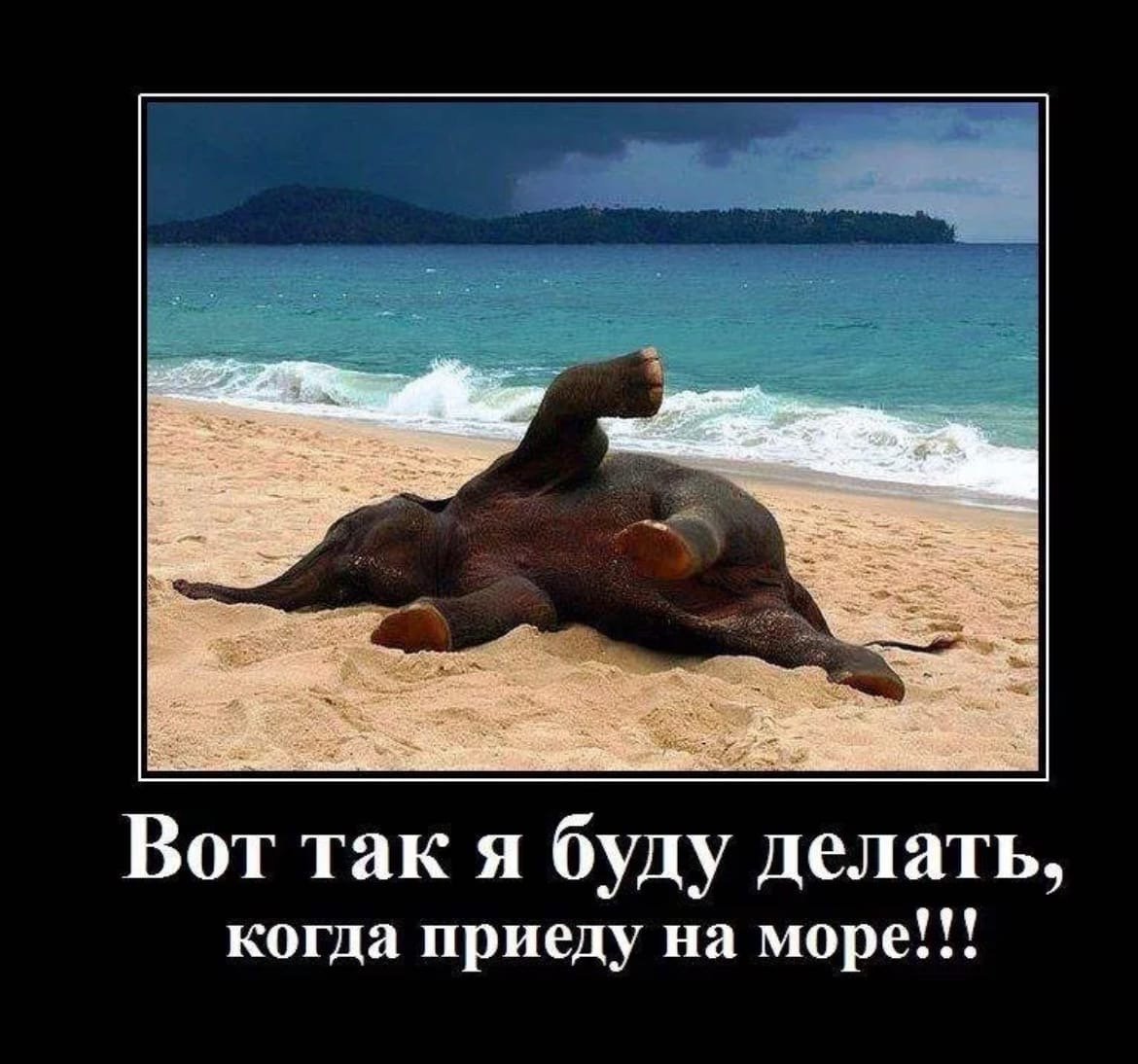 Шутки про отдых