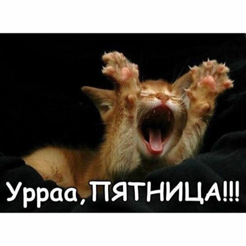 Наконец то пятница