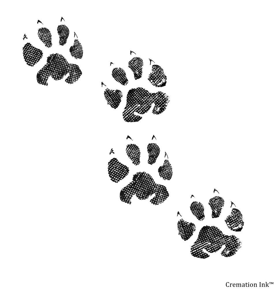 Рысь в снегу