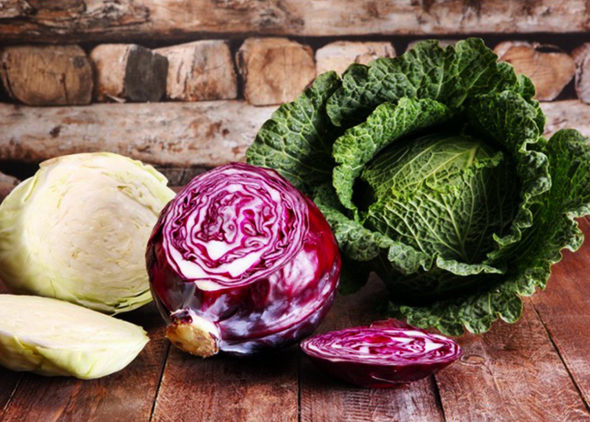 Капуста савойская краснокочанная