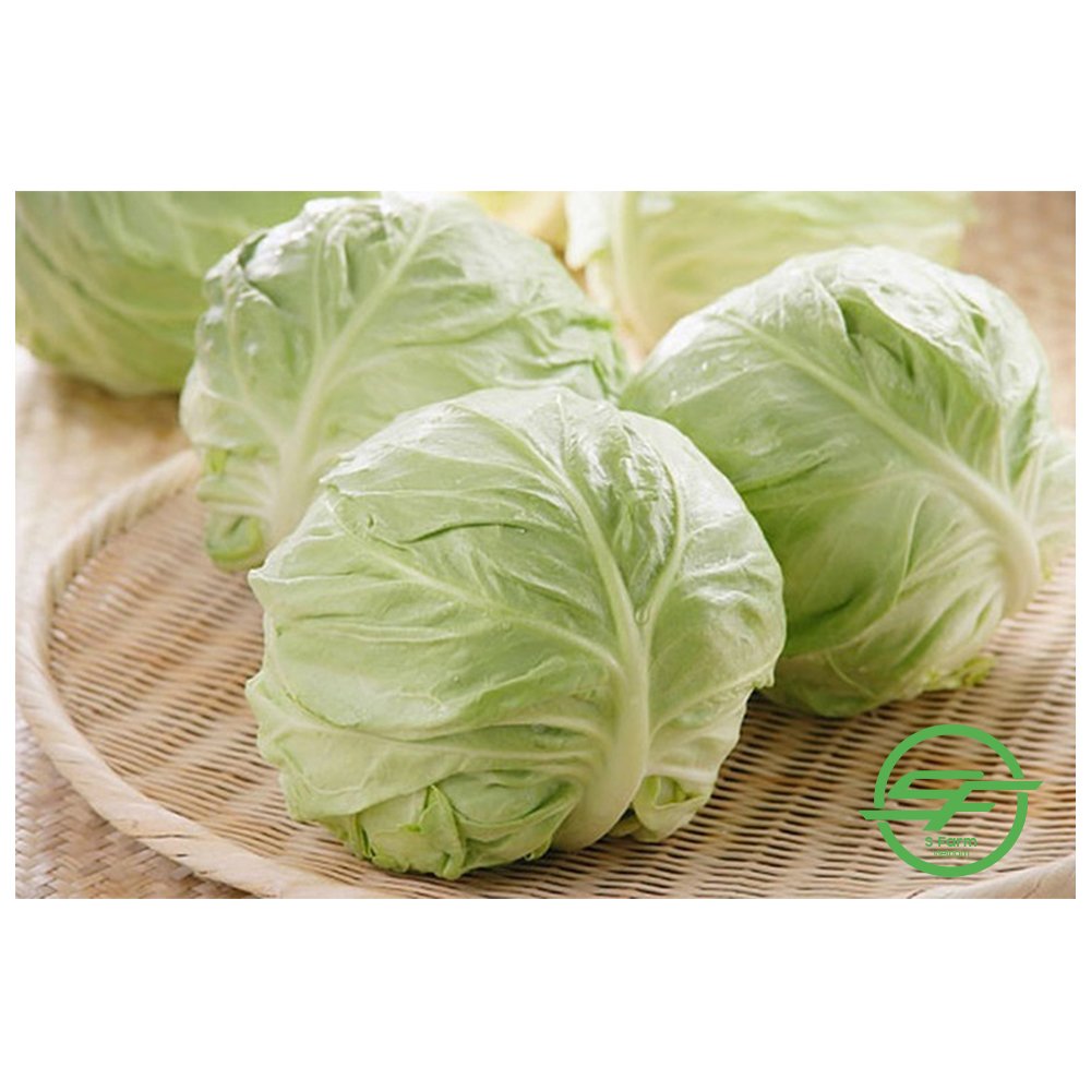 Капуста квашеная качанами