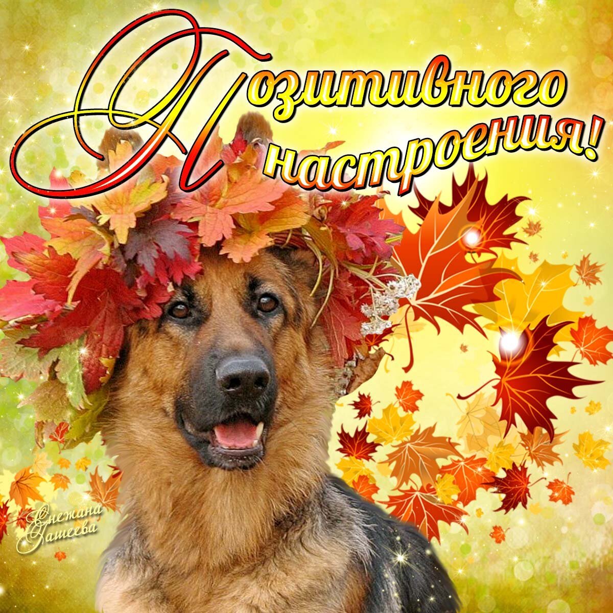 Доброе утро среда