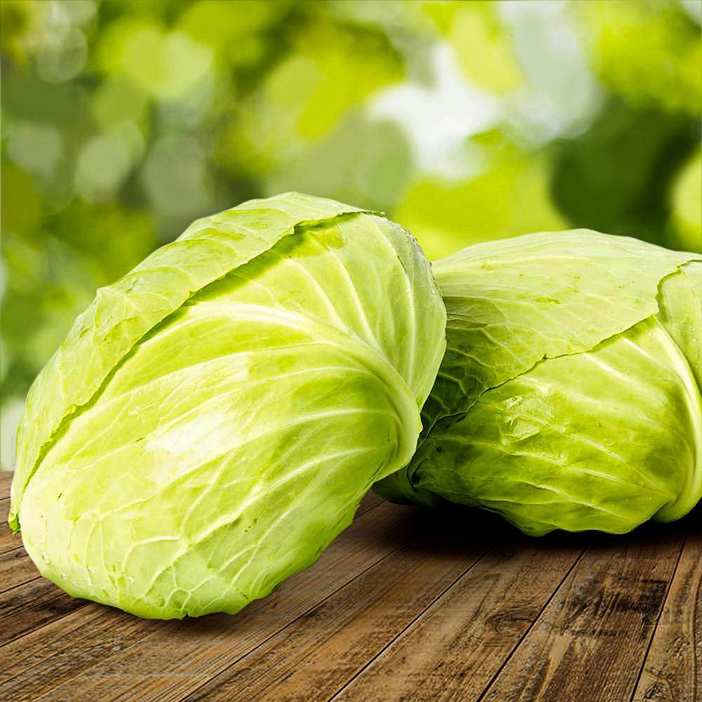 Плантации капусты белокочанной