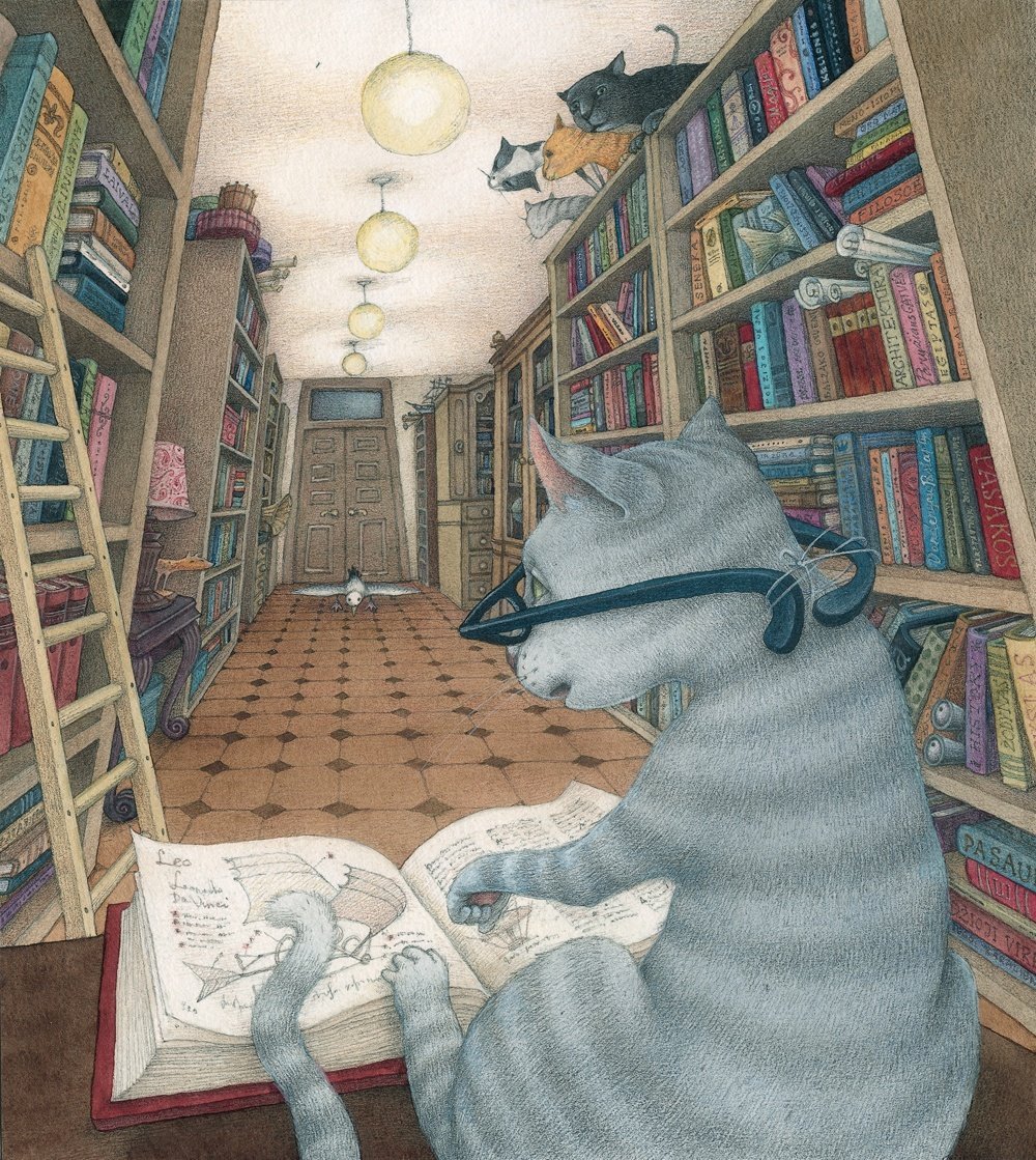 Кошки в библиотеке