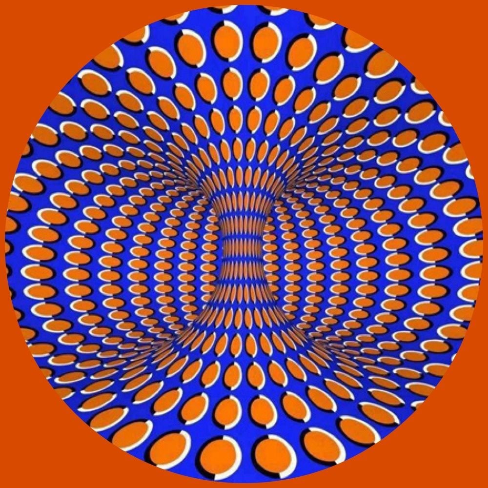 Ямамото Хашима