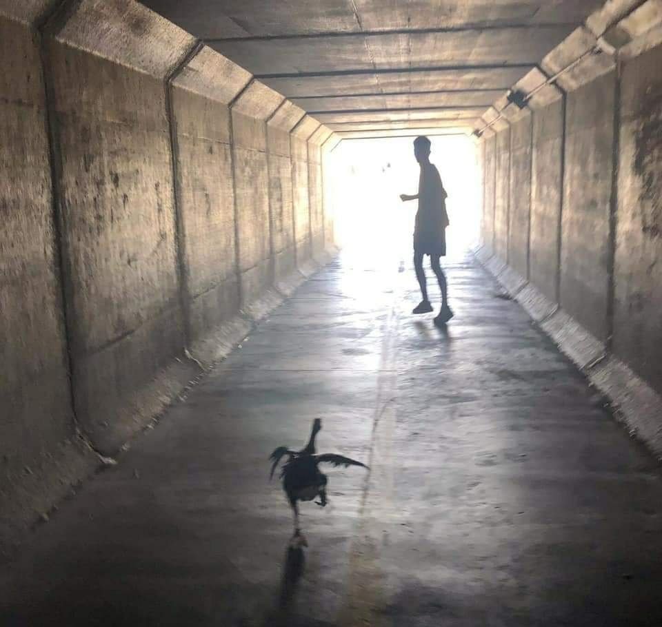 Свет в конце тоннеля