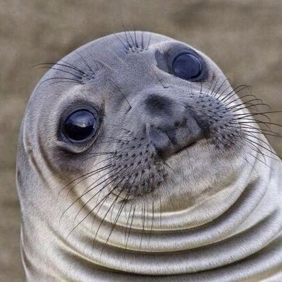 С днем студента