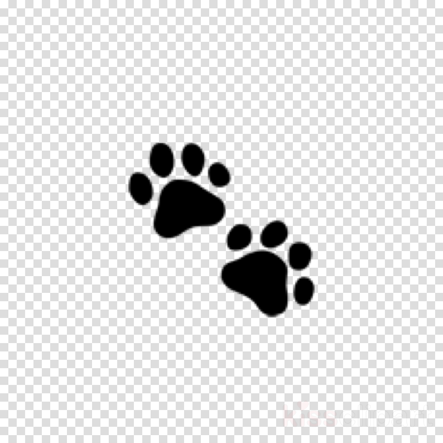 Логотип отпечаток лапы