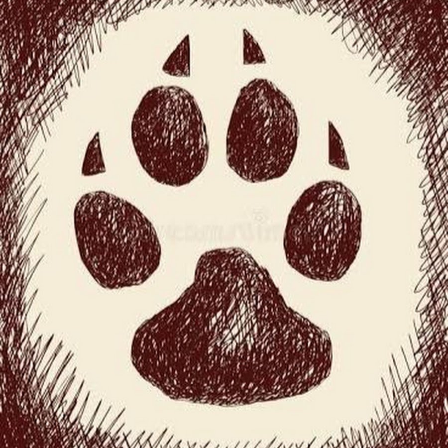 Кошачья лапка клипарт