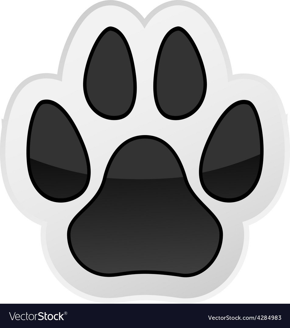 Лапка котика