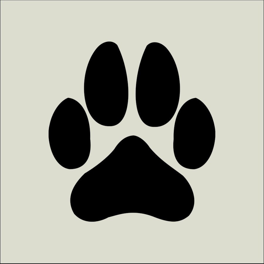 След медвежьей лапы