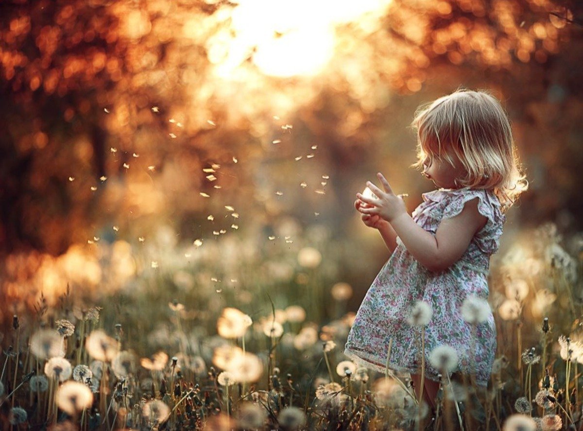 Елена Корнеева фотограф