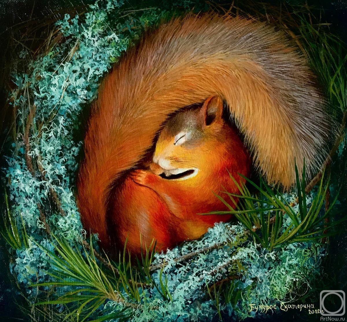 Спящие белочки