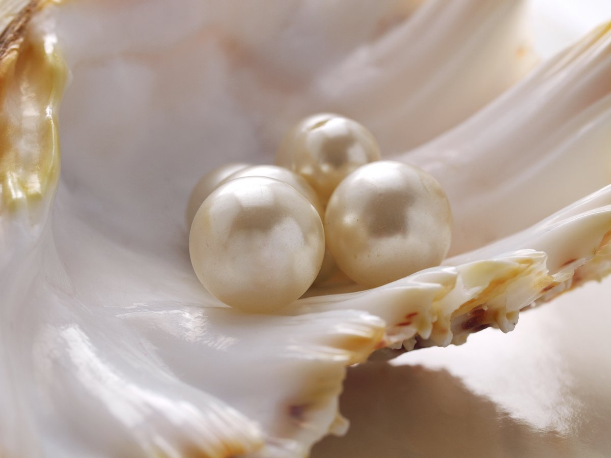 Порошок жемчуга "Хуанхе".