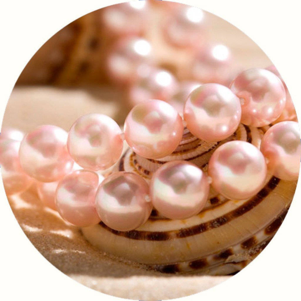 Раковина Жемчужница морская