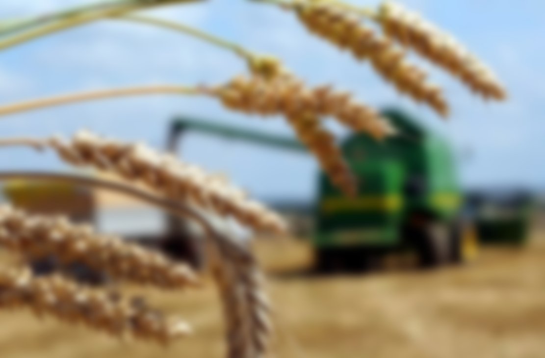 Сельское хозяйство