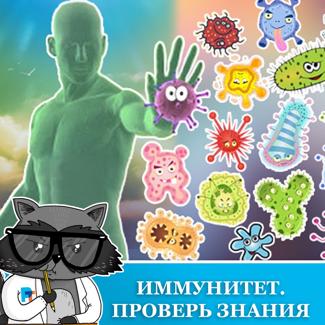 Иммунитет рисунок