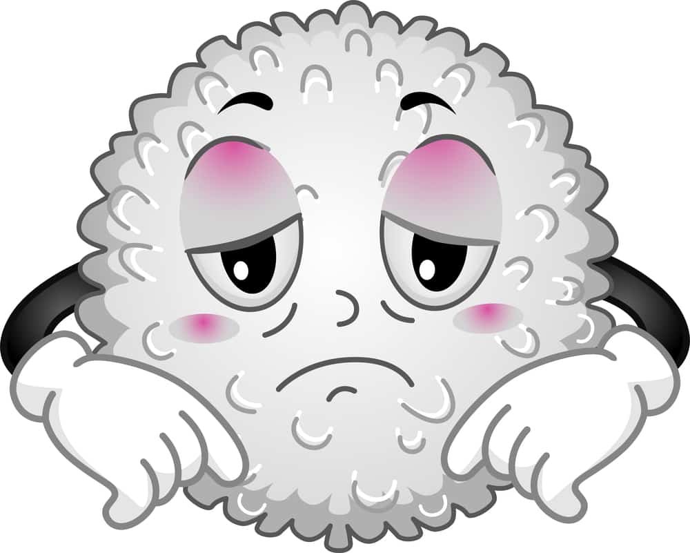 Добрые бактерии