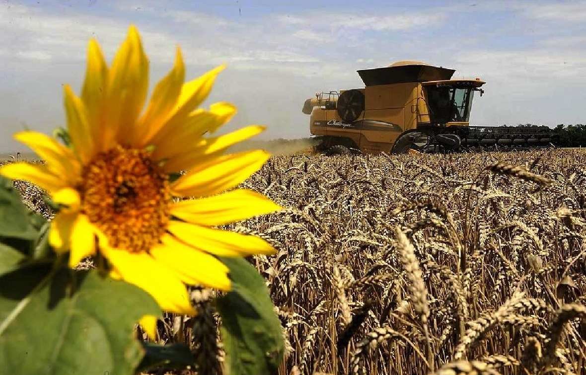 Ставрополье Житница Кубани