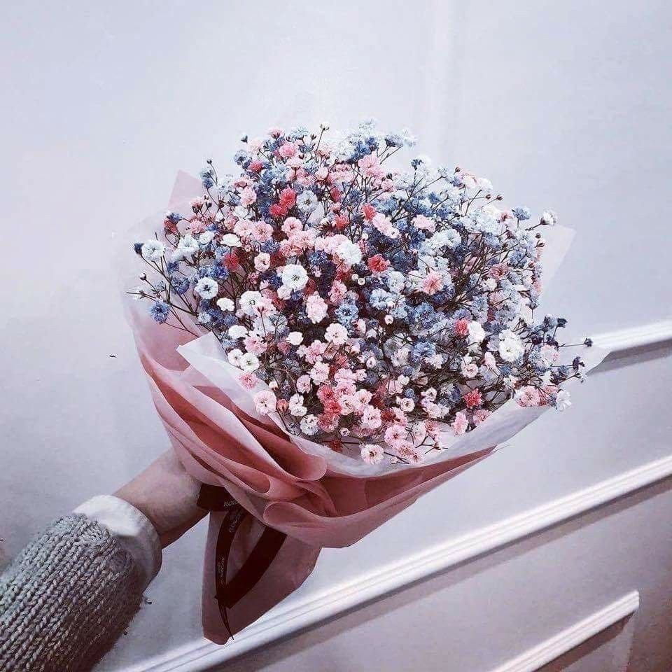 Цветы гипсофилы Эстетика