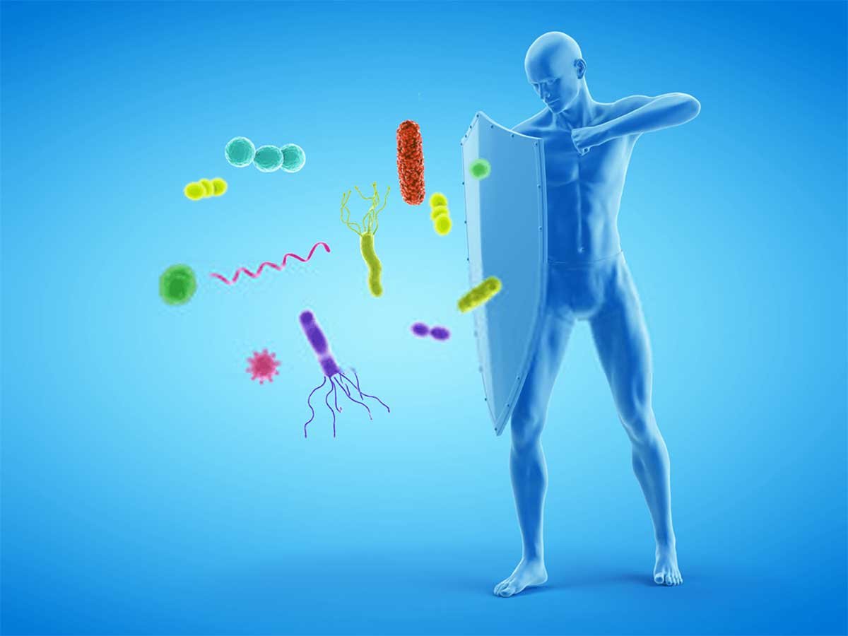 Иммунная система человека background
