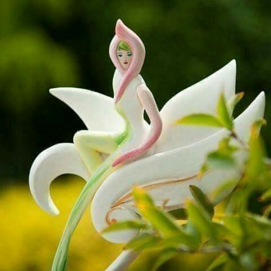 Фото цветок Нарилата печати