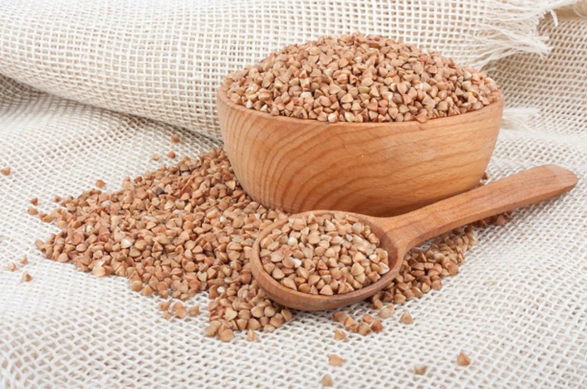 Гречишный Колос