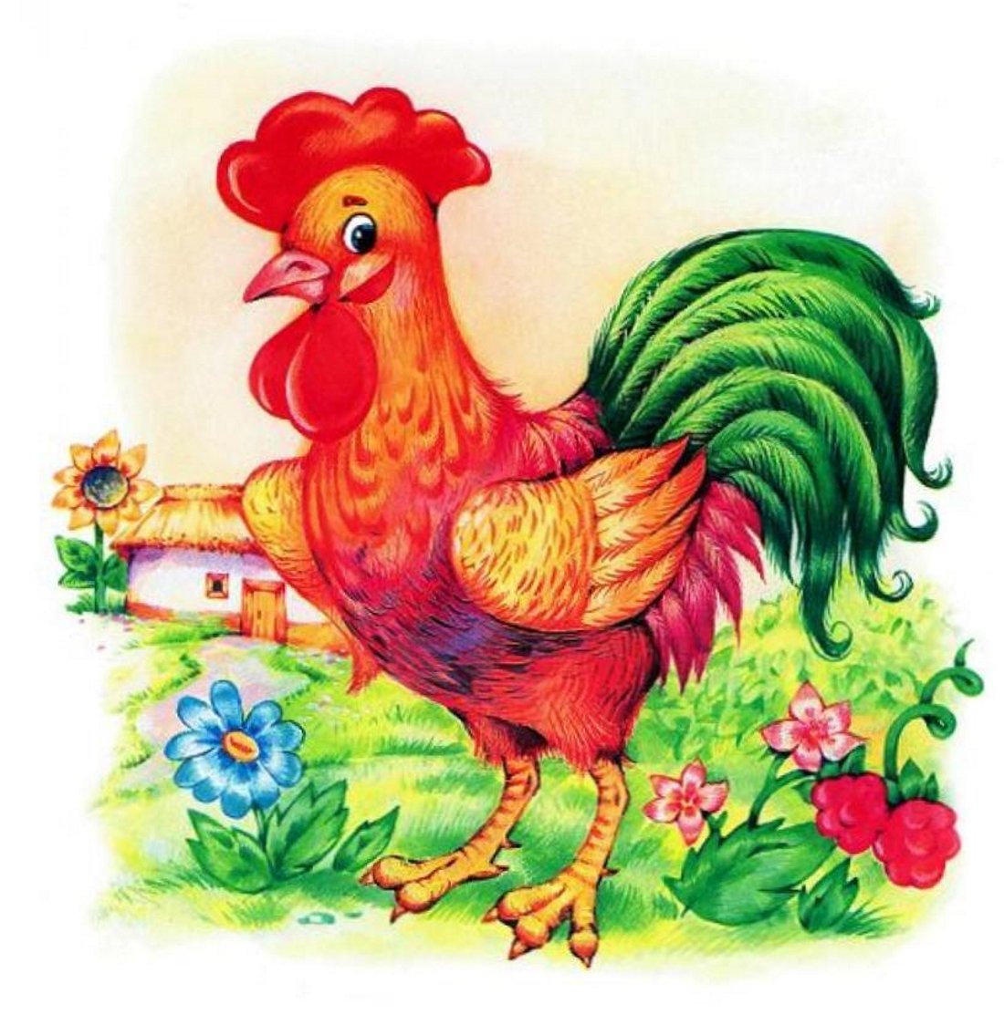 Индийский петух