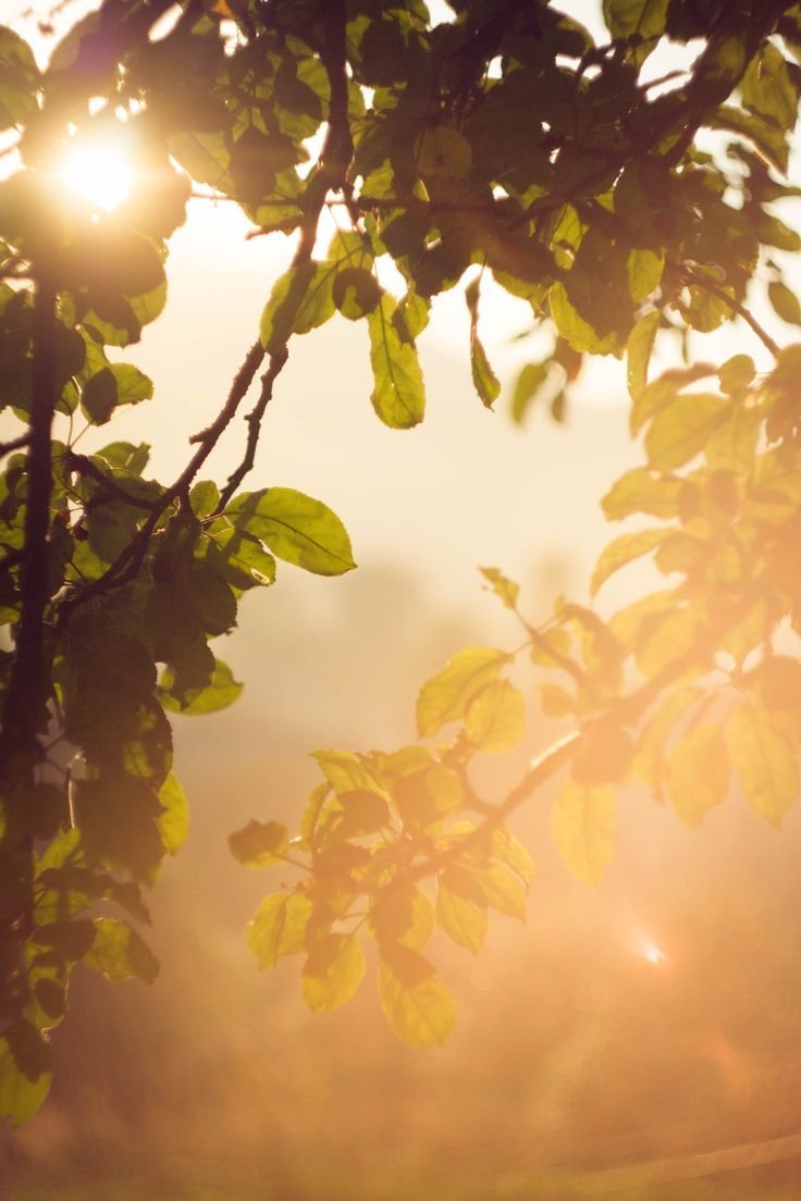 Солнце Инстаграм