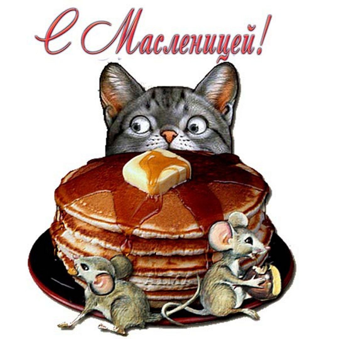 Открытки с Масленицей прикольные