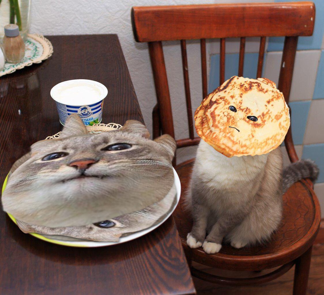 Кот с блинами и сметаной