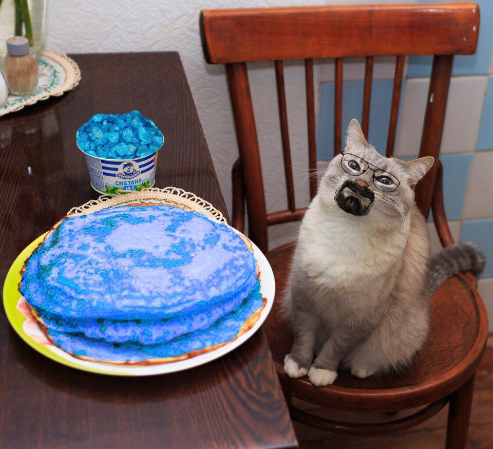 Довольный кот с блинами