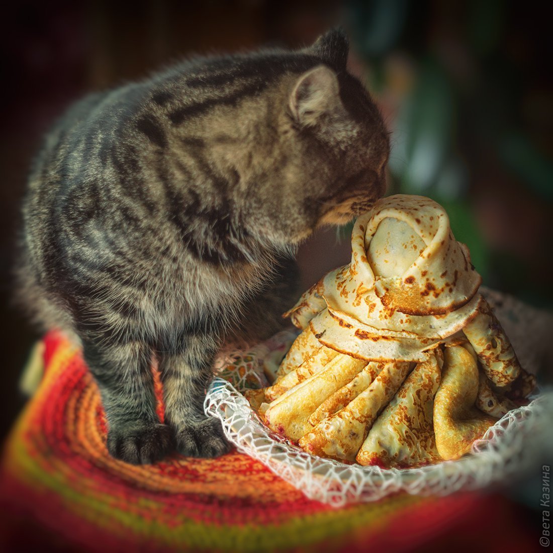 Блины производство города