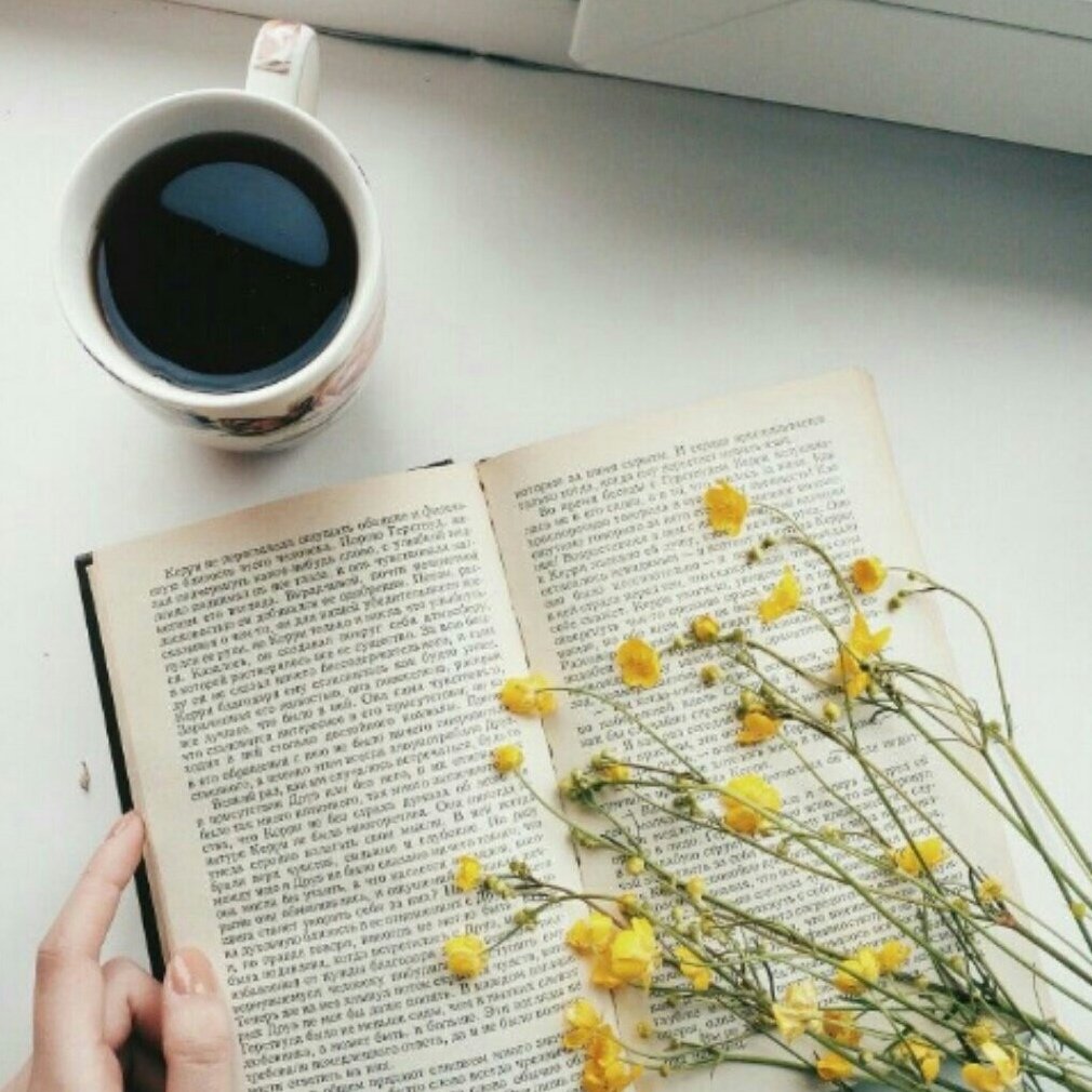 Красиво сфотографировать книгу