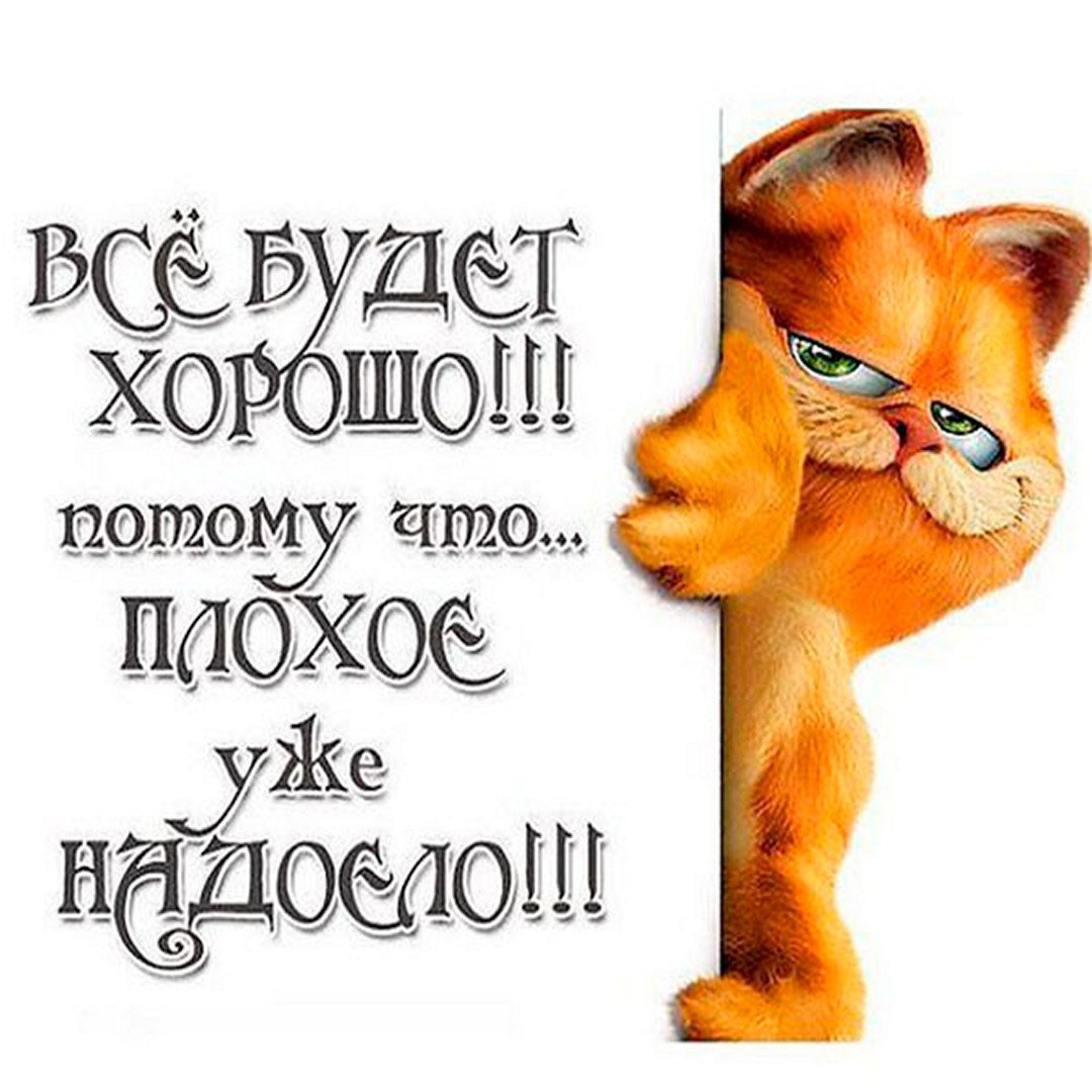 Выше нос фото