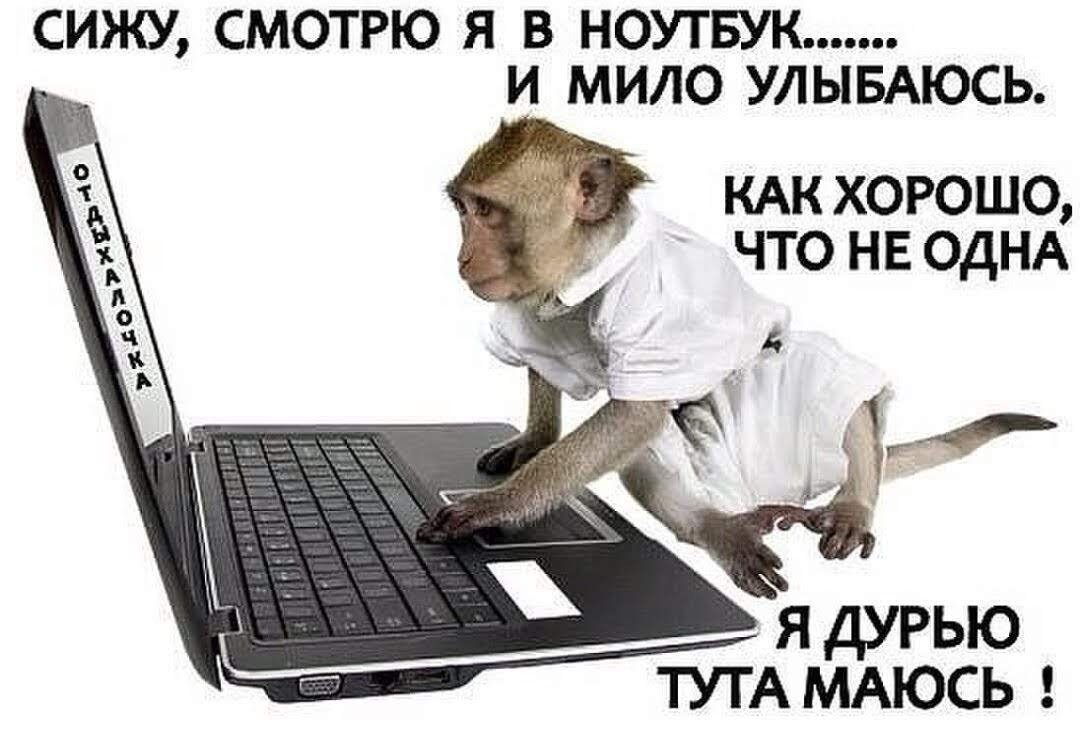 Приколы про интернет