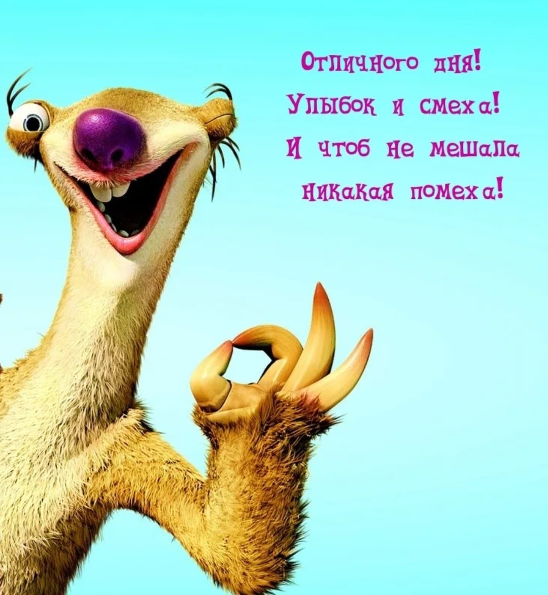 Извини меня