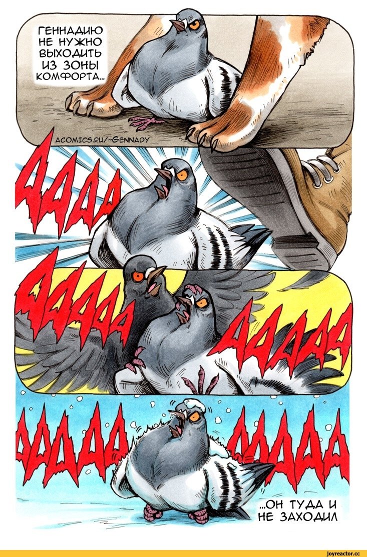 Акула выйти из зоны комфорта