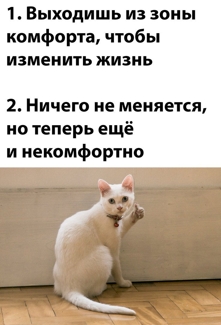 Мемы азиатов зона комфорта