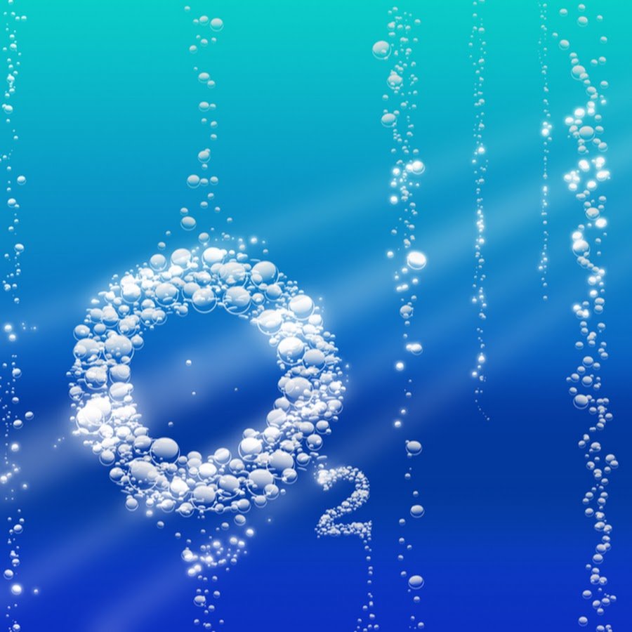 Пузырьки кислорода