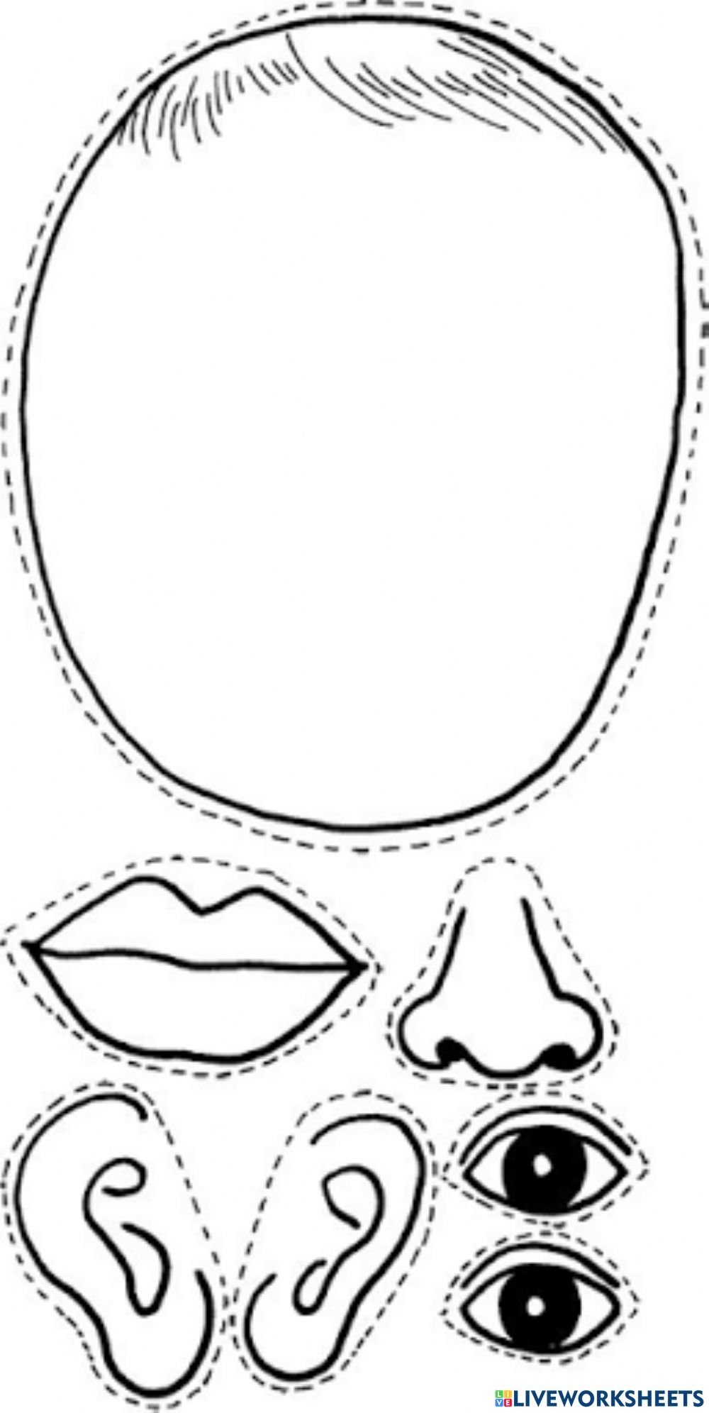 Части лица для аппликации