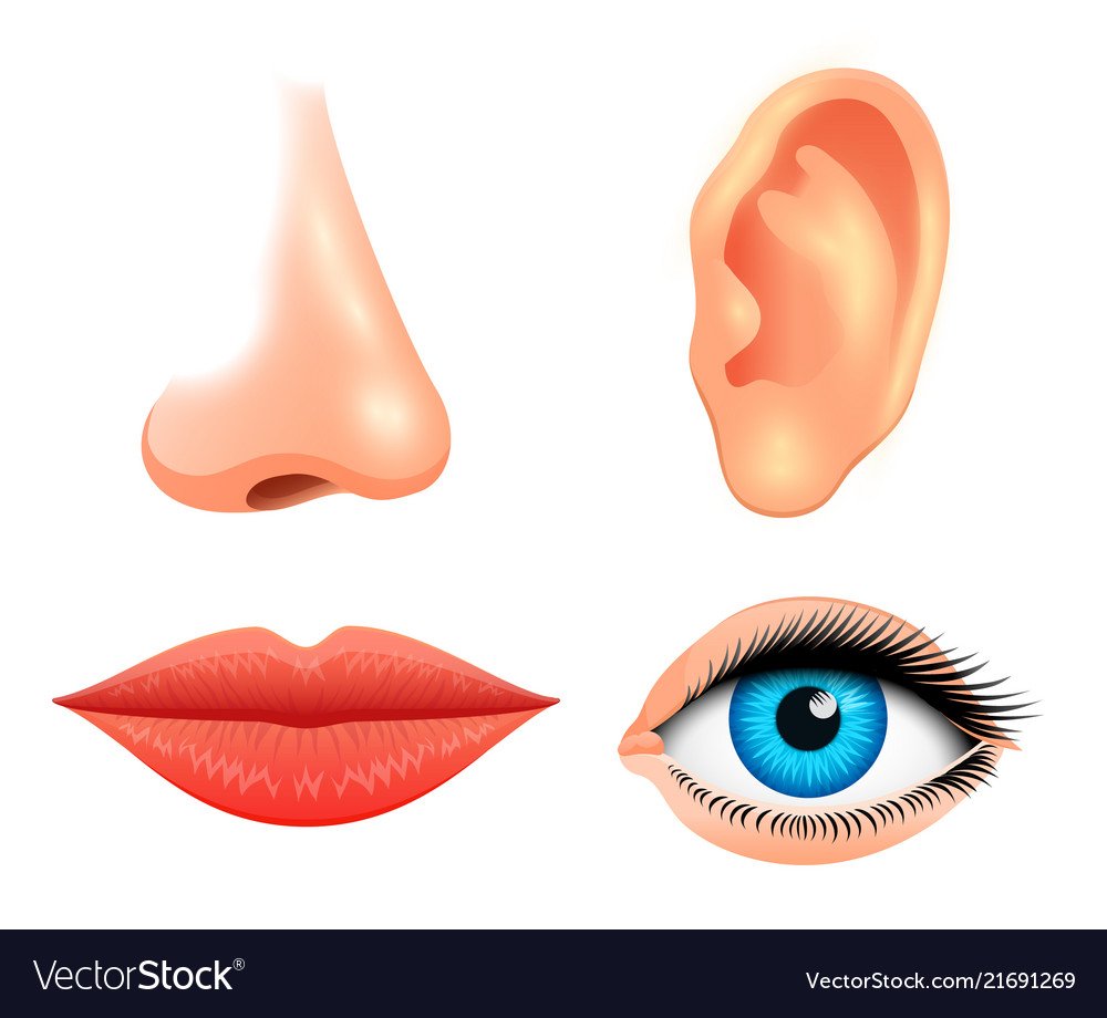 Глаза нос рот