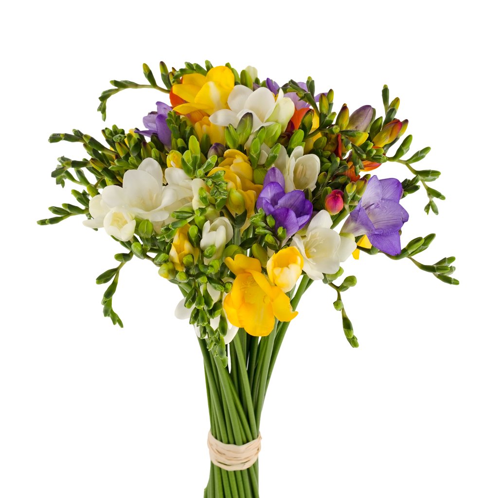 Фрезия с нарциссами букет