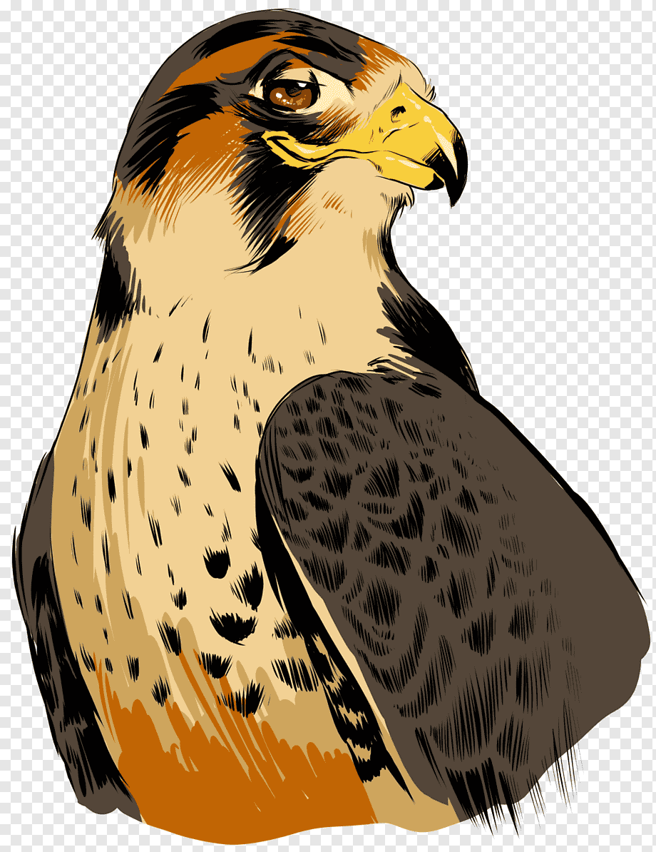 Сокол мультяшный