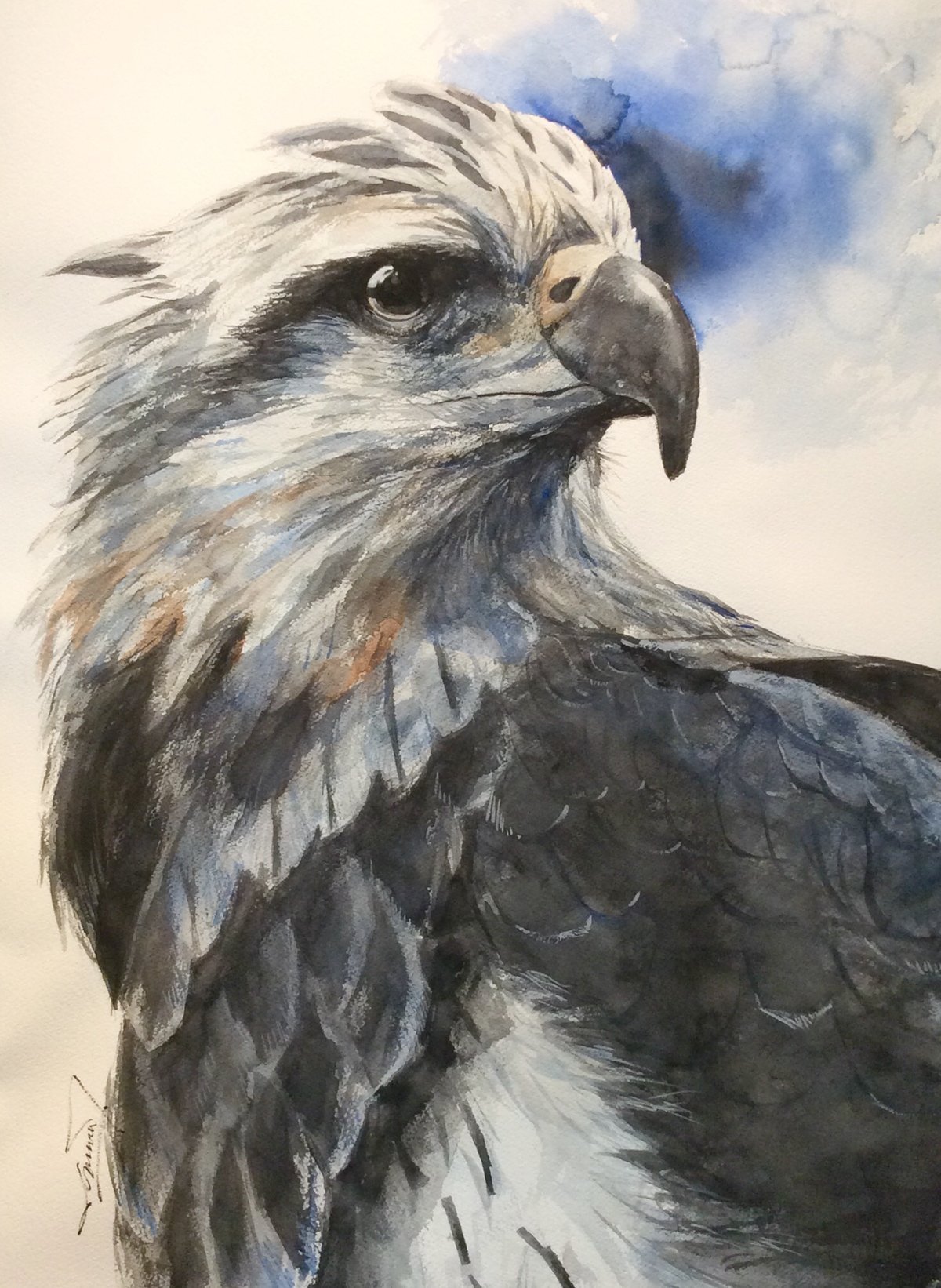 Ястреб символ