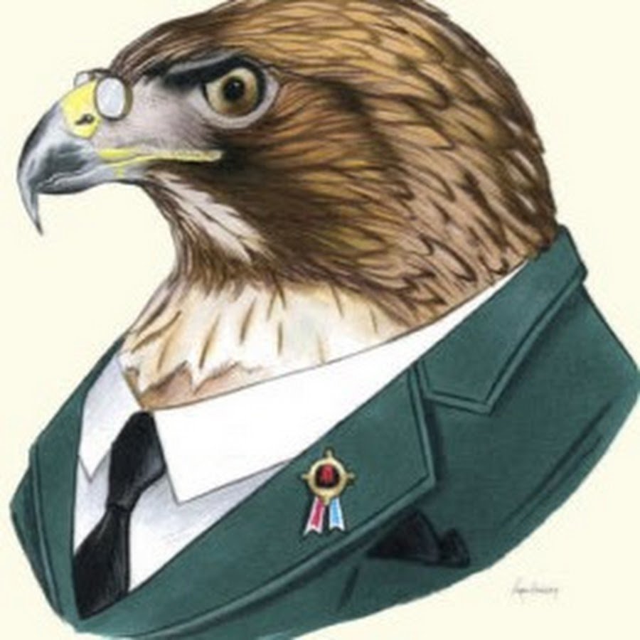 Голова орла вид спереди