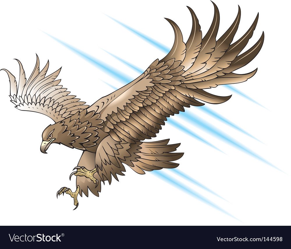 Сокол черно белый