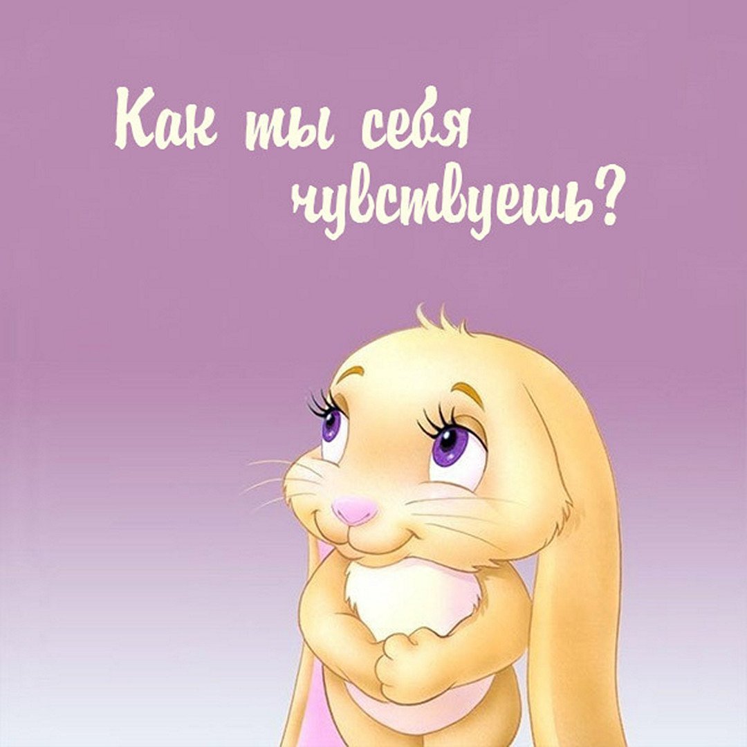 Цветы для выздоровления