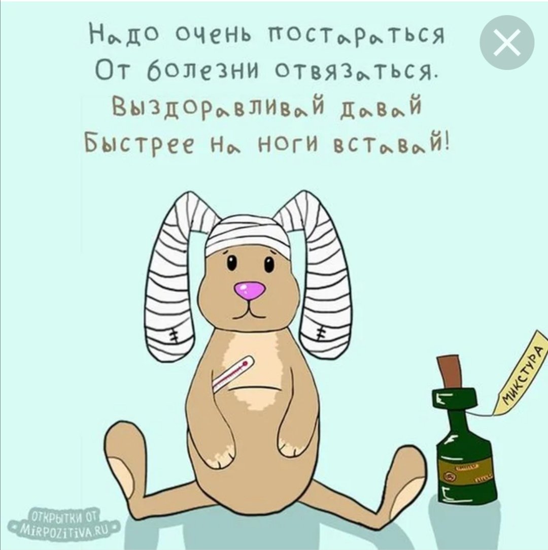 Тедди выздоравливай